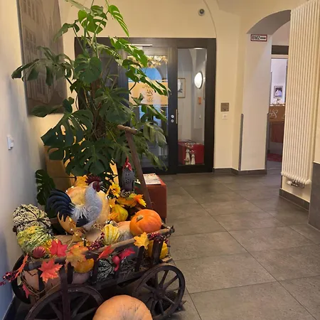 Schwibbogen Altstadt &