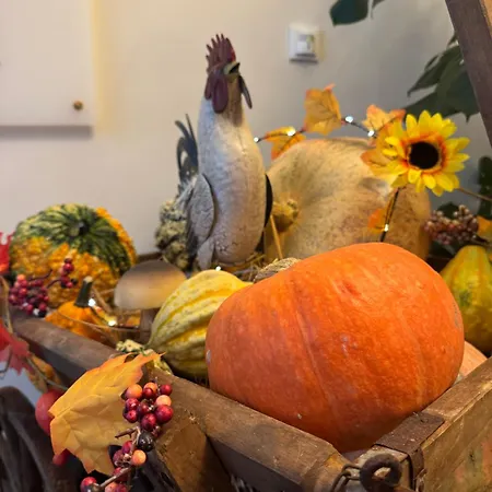 Hotel Schwibbogen Altstadt&appartements 3*