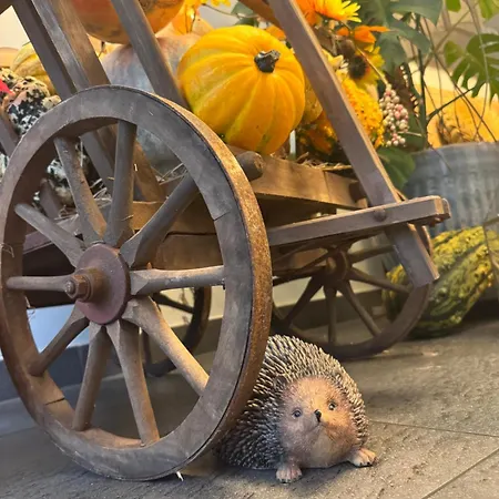 Schwibbogen Altstadt&appartements Görlitz